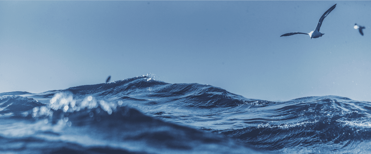 Banner 3
