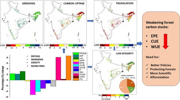 Weakening of forest carbon stocks due to declining Ecosystem Photosynthetic Efficiency under the current and future climate change scenarios in India